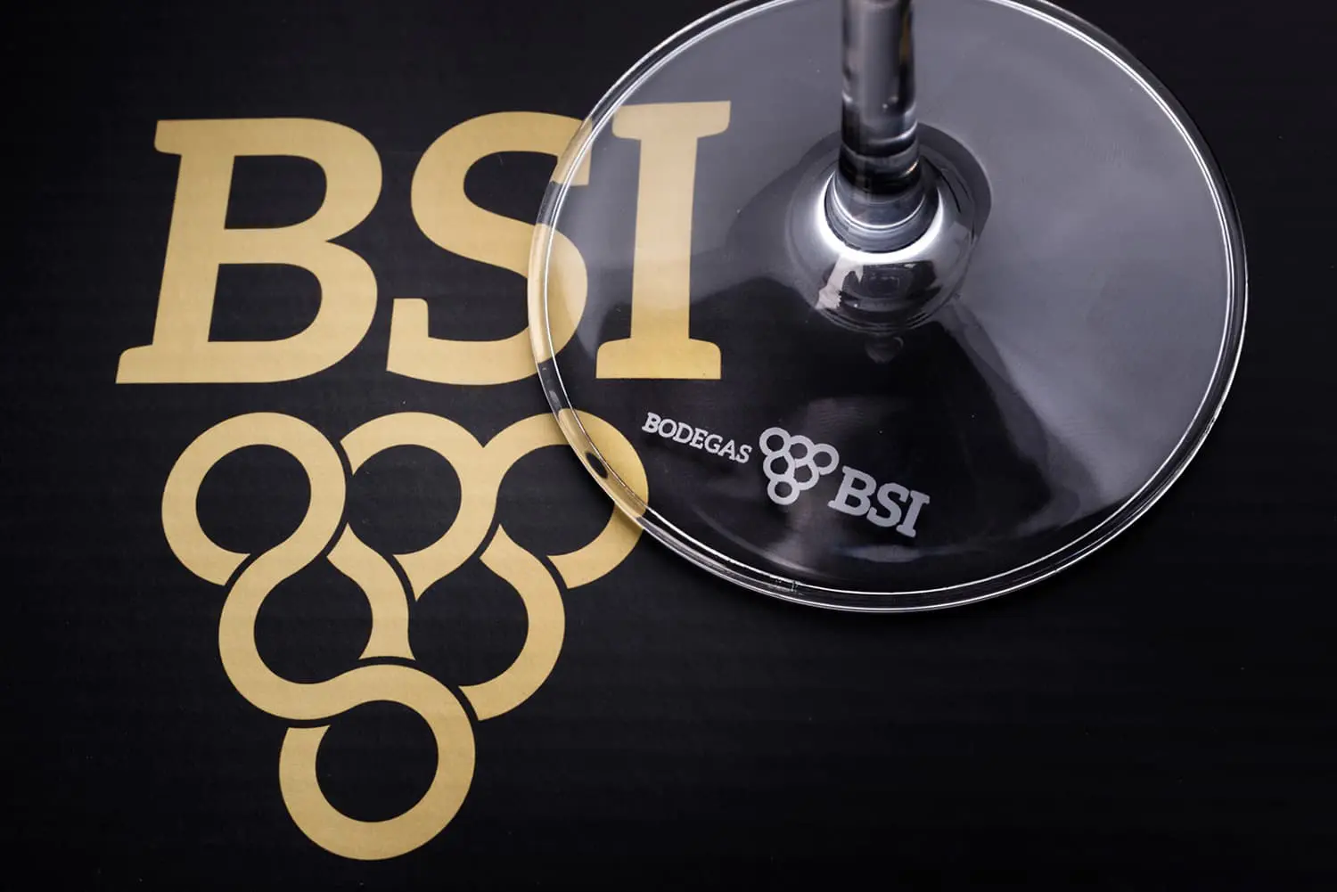 BSI Detalle logo copa 02 Canicio fotografia