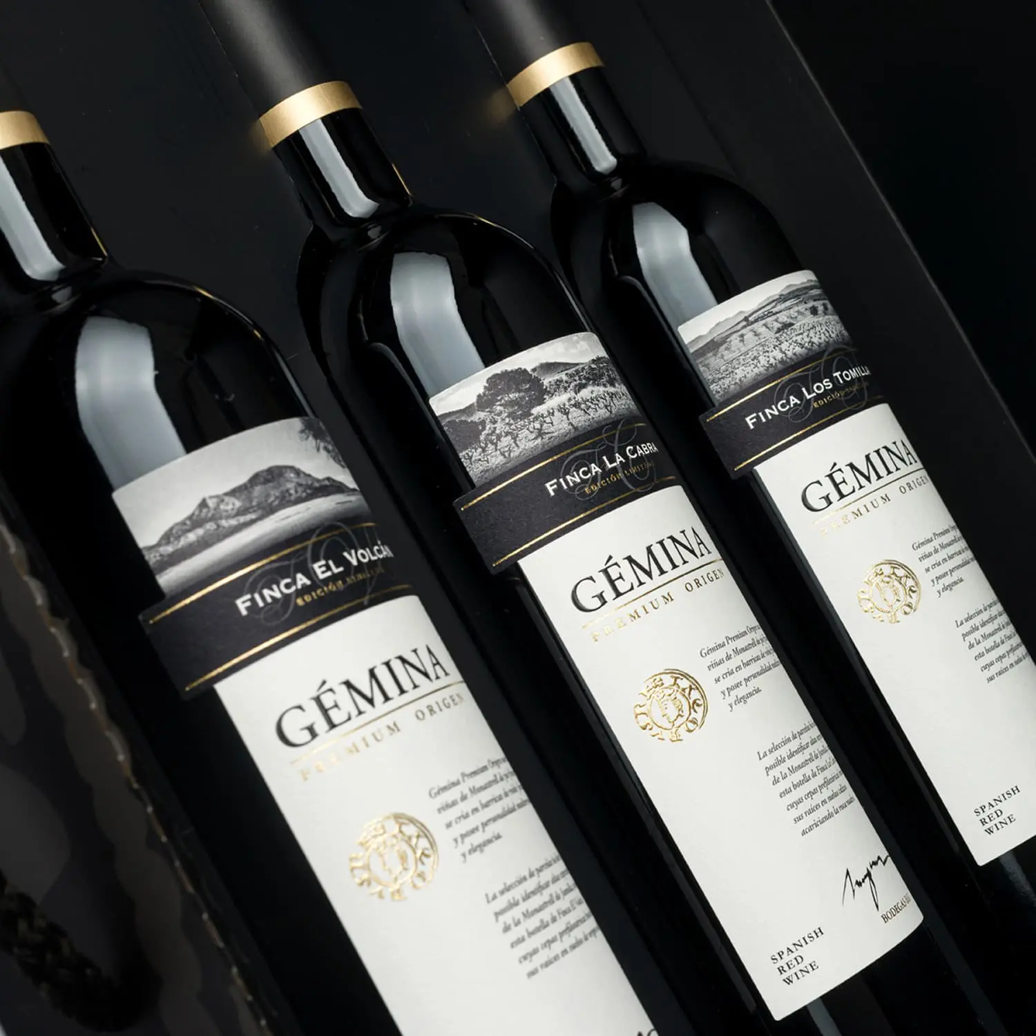 BSI Gemina La Cabra Caja tres Detalle 01 Canicio fotografia