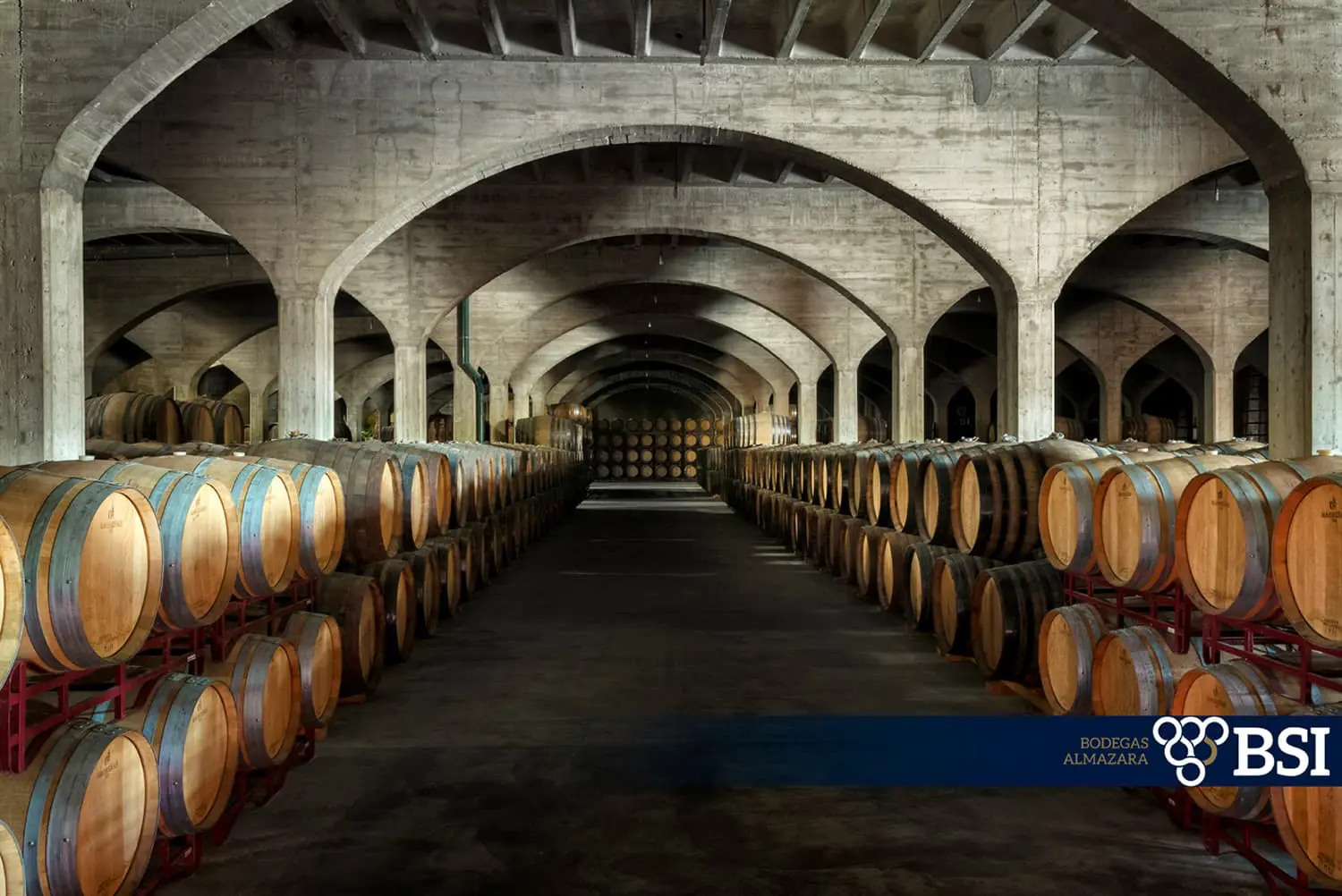Bodega BSI Canicio fotografia
