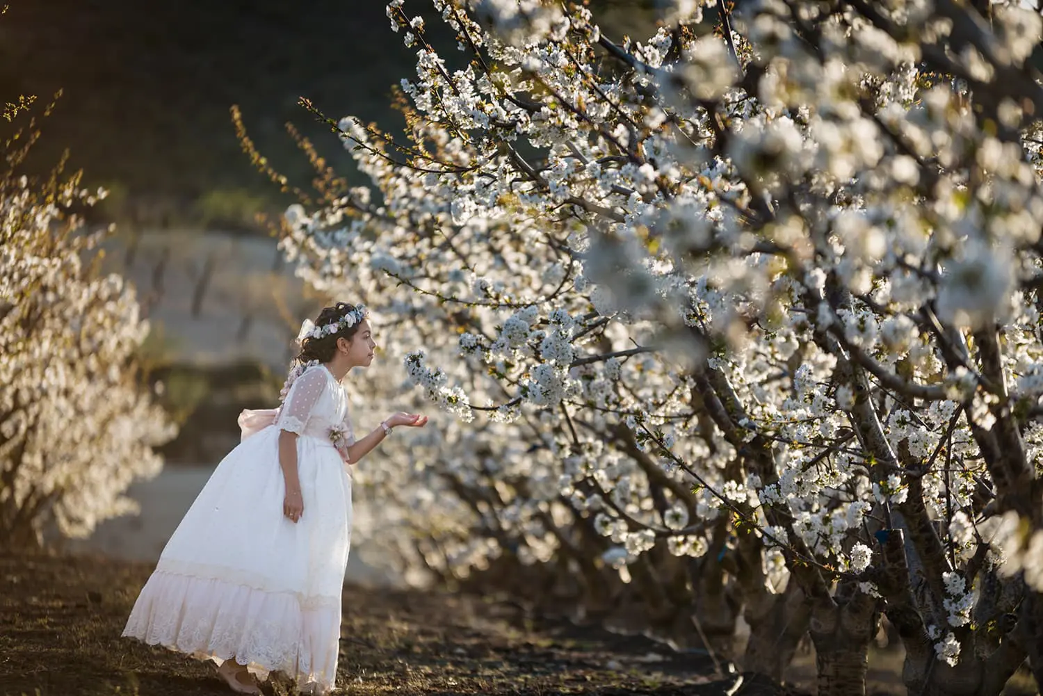 Mirando flores almendros comunion Canicio Jumilla