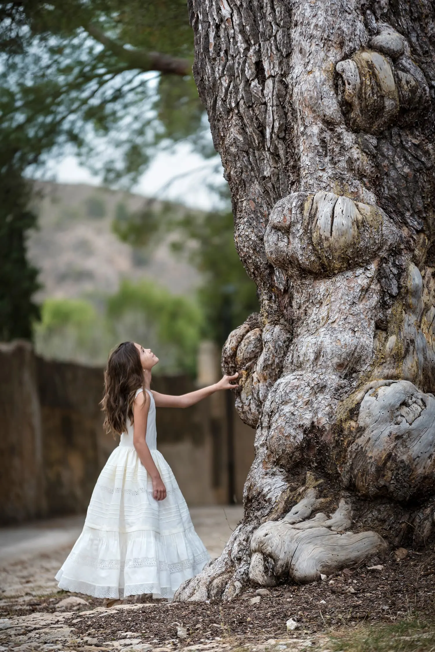 Nina mirando tronco gran arbol comunion Canicio Jumilla