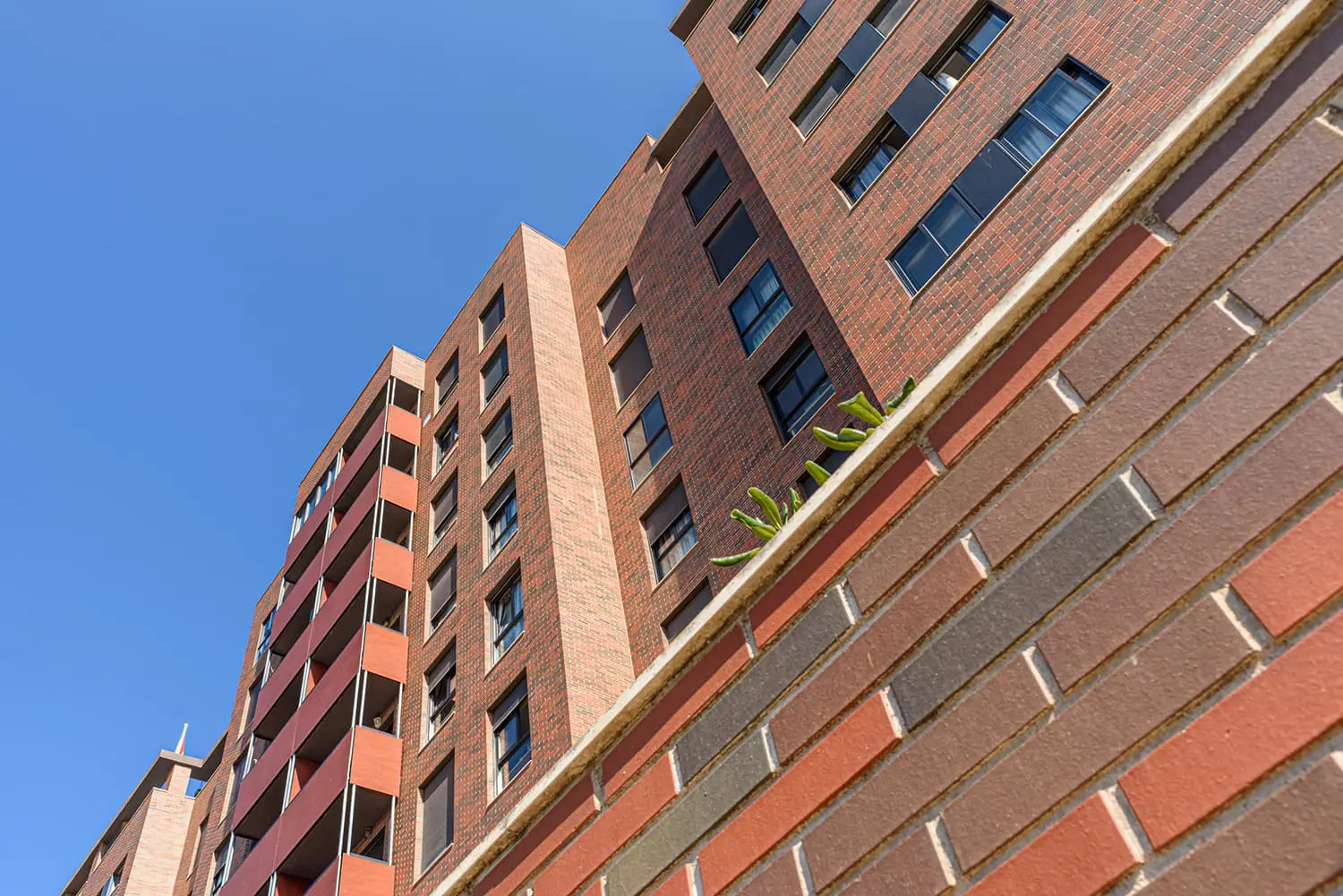 Residencial Hacienda del Mar K F Torneo Canicio fotografia